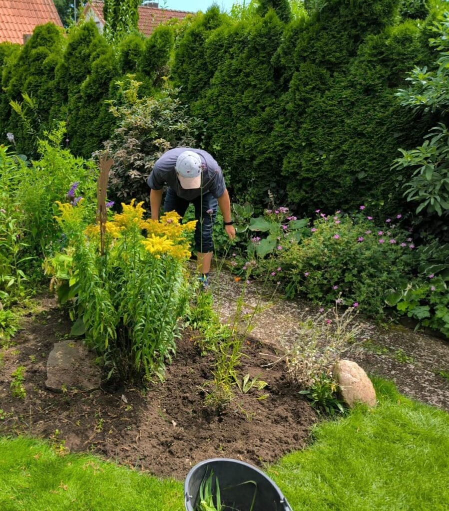 Professionelle Gartenpflege 15 IMG_20241206_153218.jpg