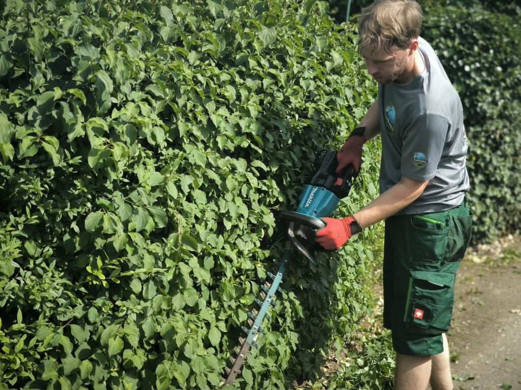 Professionelle Gartenpflege 2 Heckenschnitt in einem permakulturellen Garten – Nachhaltige Pflege für gesunde Pflanzen.Professionelle Gartenpflege
Permakultur
Regenerative Landwirtschaft
Nachhaltige Gartenpflege
Heckenschnitt
Biodiversität im Garten
Ökologische Gartenarbeit
Naturnahe Gartenpflege