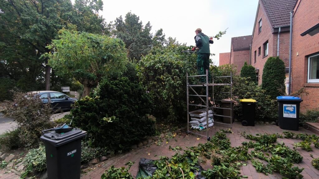 Professionelle Gartenpflege 3 Heckenschnitt in einem permakulturellen Garten – Nachhaltige Pflege für gesunde Pflanzen.Professionelle Gartenpflege
Permakultur
Regenerative Landwirtschaft
Nachhaltige Gartenpflege
Heckenschnitt
Biodiversität im Garten
Ökologische Gartenarbeit
Naturnahe Gartenpflege