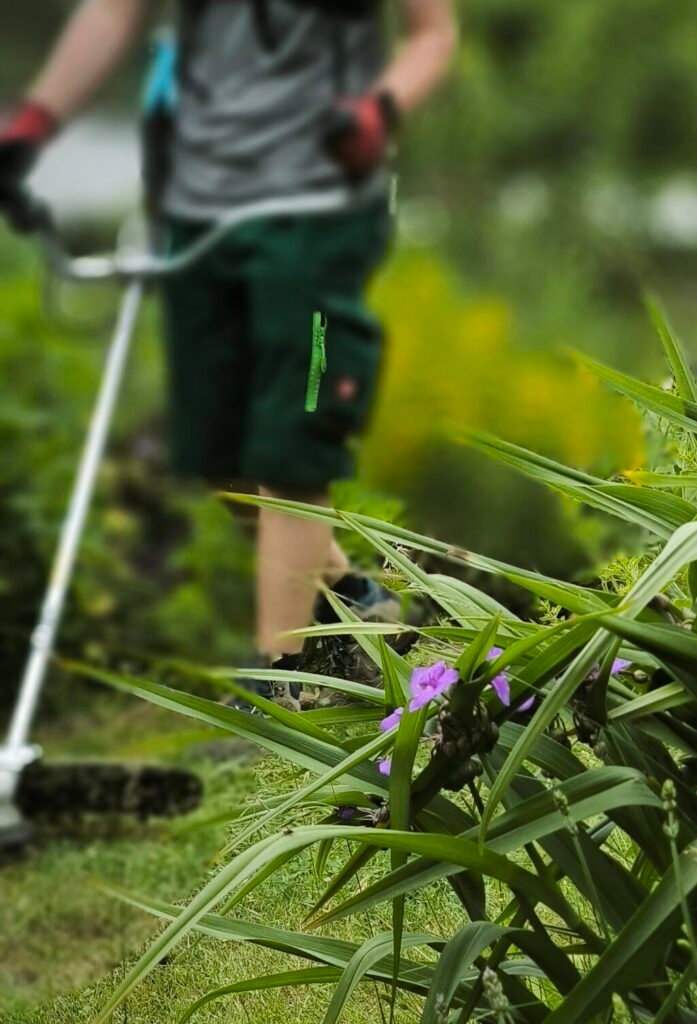 Professionelle Gartenpflege 21 Professioneller Rasenkantenschnitt mit Motorsense
