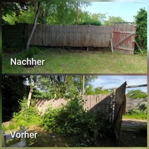 Fachgerechte Unkrautentfernung im Garten