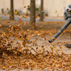 Laubaufnahme – Sauber und nachhaltig durch den Herbst