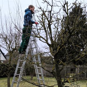 garten landschaftsbau hannover